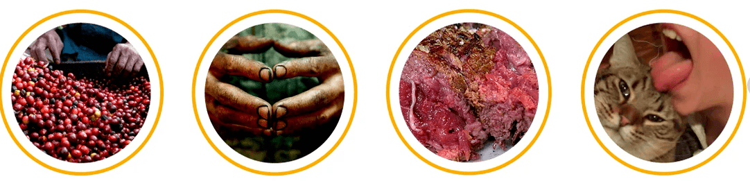How parasites are entering the body