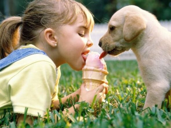 Pet infection